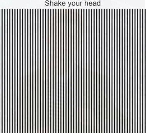 shake-your-head-line-optincal-llustion